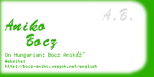 aniko bocz business card